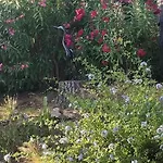 La Beluga Bed & Breakfast
