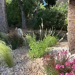 La Beluga Bed & Breakfast 4*