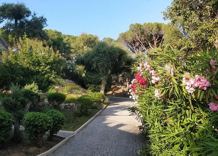 La Beluga Guest house Sainte-Maxime