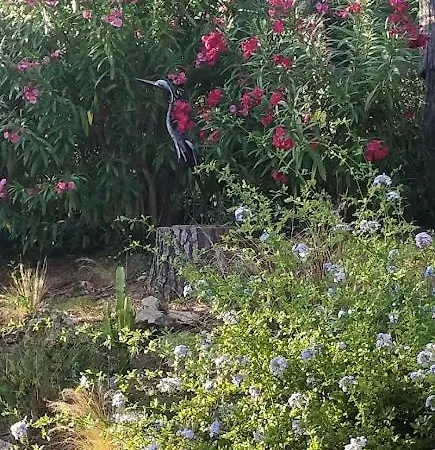 La Beluga Guest house