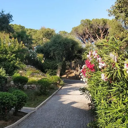 La Beluga Oda ve Kahvaltı Sainte-Maxime