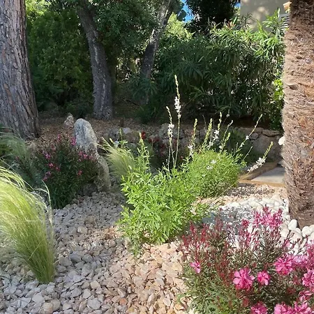 La Beluga Oda ve Kahvaltı 4*