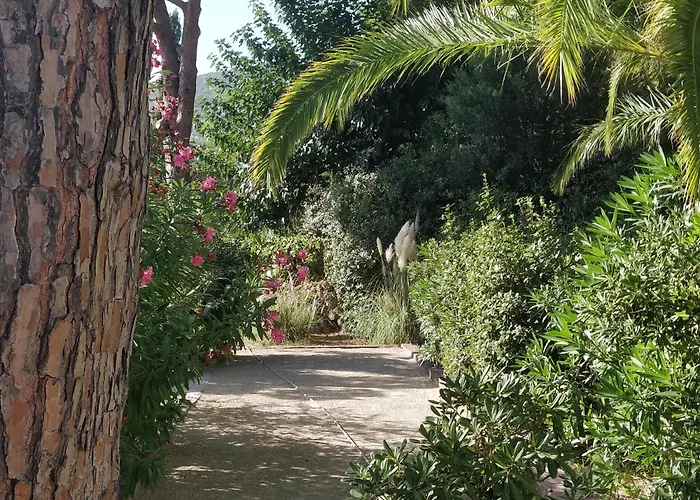 La Beluga 4* Sainte-Maxime